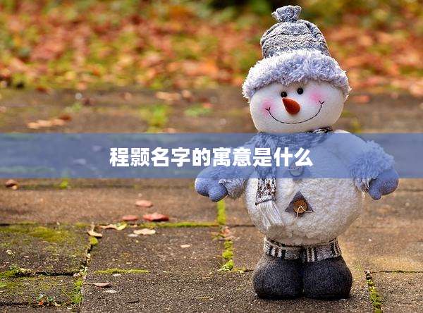 程颢名字的寓意是什么