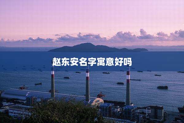 赵东安名字寓意好吗