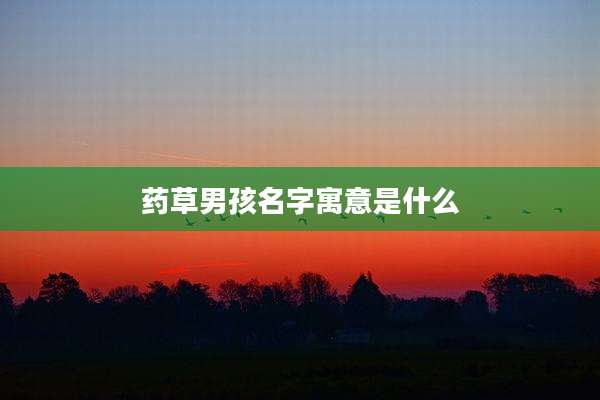 药草男孩名字寓意是什么
