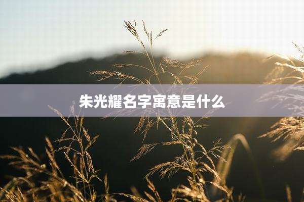 朱光耀名字寓意是什么
