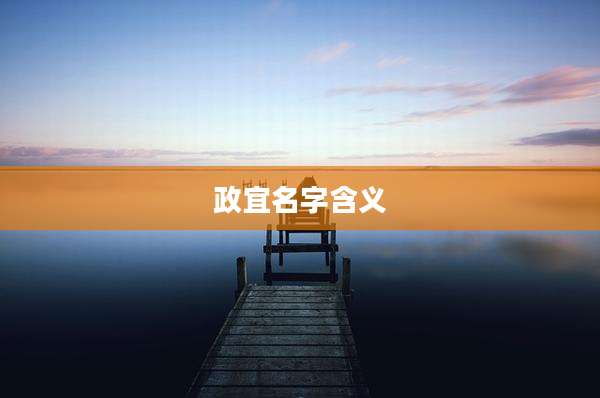 政宜名字含义