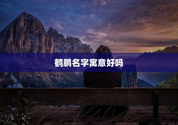 鹤鹏名字寓意好吗