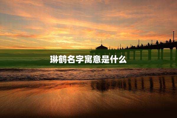 琳鹤名字寓意是什么