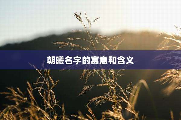 朝曦名字的寓意和含义