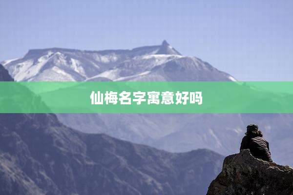 仙梅名字寓意好吗