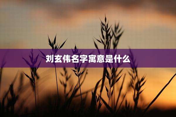 刘玄伟名字寓意是什么