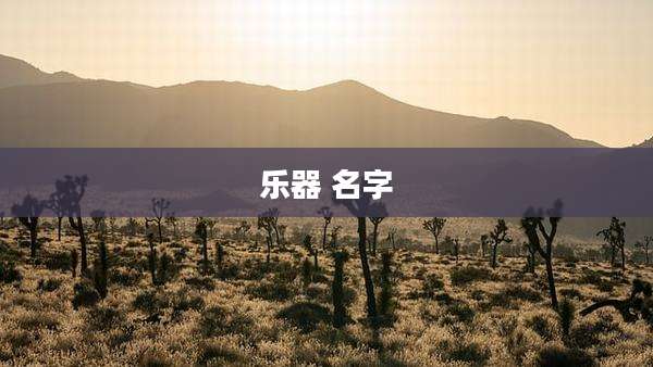 乐器 名字