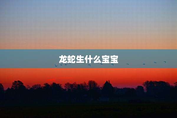 龙蛇生什么宝宝