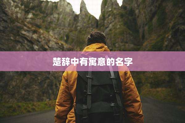 楚辞中有寓意的名字