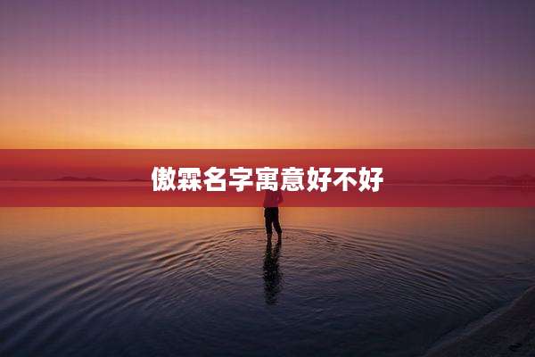 傲霖名字寓意好不好