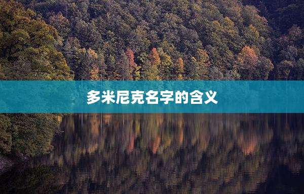 多米尼克名字的含义