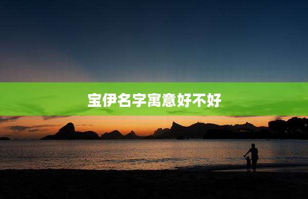 宝伊名字寓意好不好