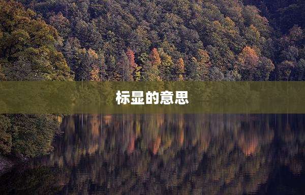 标显的意思