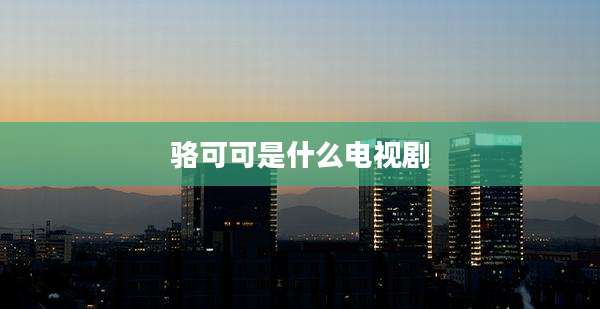 骆可可是什么电视剧