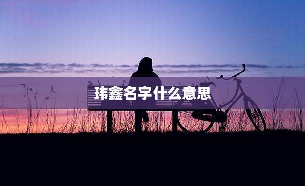 玮鑫名字什么意思