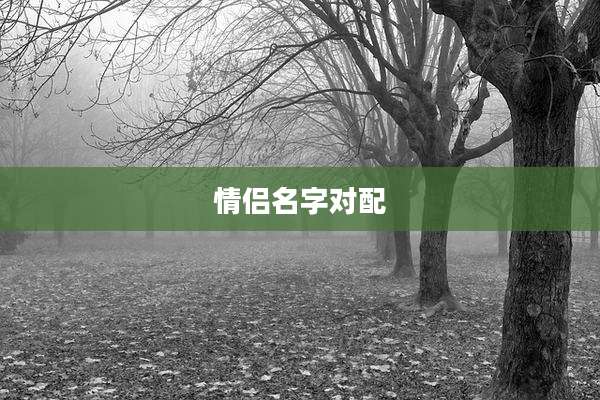 情侣名字对配