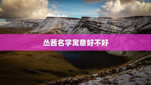 丛茜名字寓意好不好