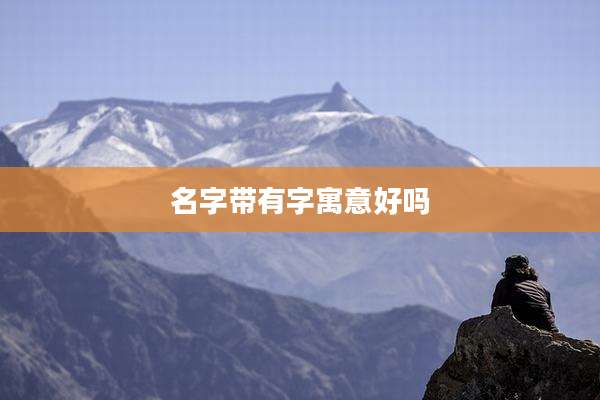 名字带有字寓意好吗
