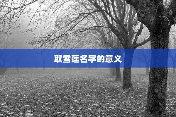 取雪莲名字的意义