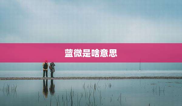 蓝微是啥意思
