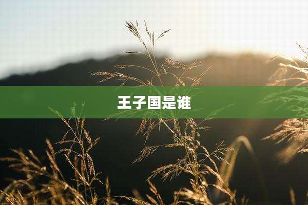 王子国是谁