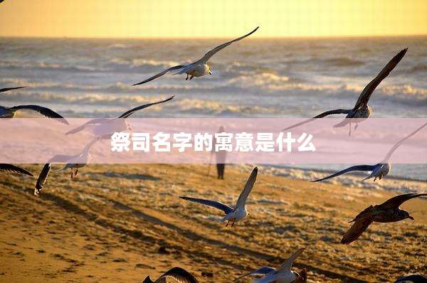 祭司名字的寓意是什么