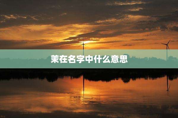 茉在名字中什么意思