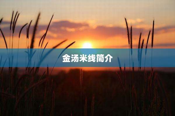 金汤米线简介