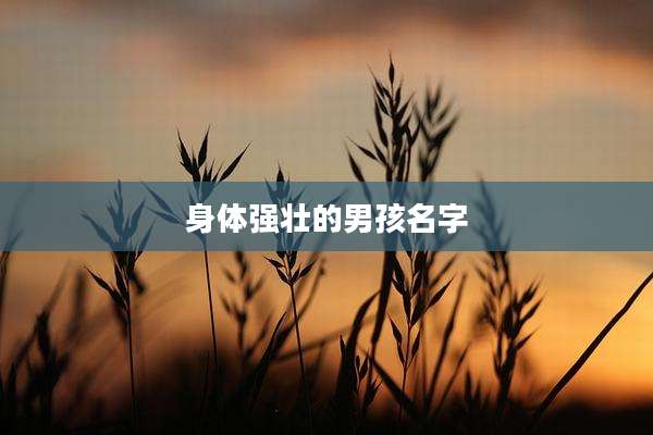 身体强壮的男孩名字