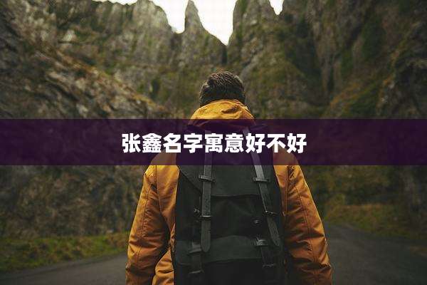张鑫名字寓意好不好