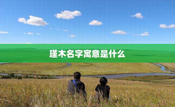 瑾木名字寓意是什么