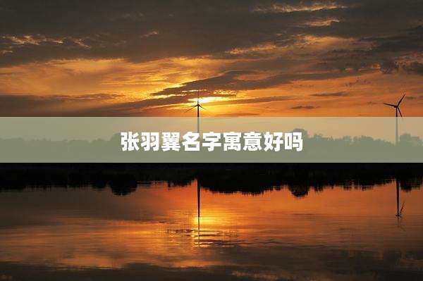 张羽翼名字寓意好吗