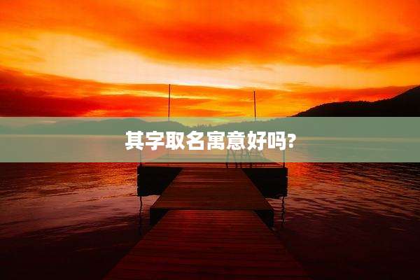其字取名寓意好吗?