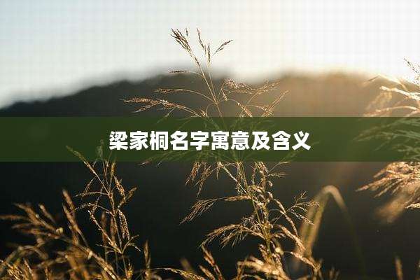 梁家桐名字寓意及含义