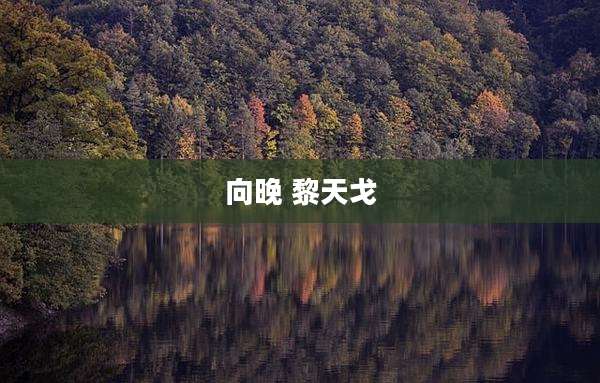 向晚 黎天戈
