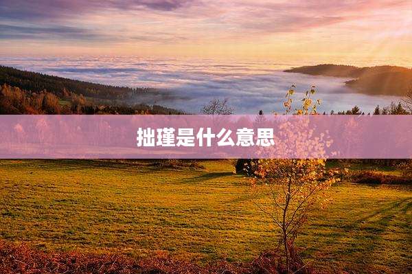 拙瑾是什么意思