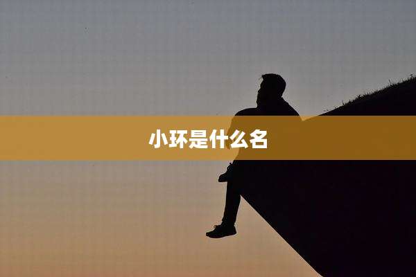 小环是什么名