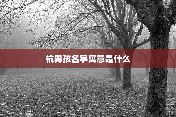 杭男孩名字寓意是什么