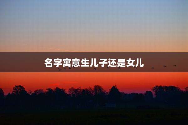 名字寓意生儿子还是女儿