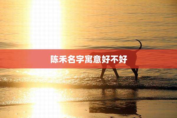 陈禾名字寓意好不好