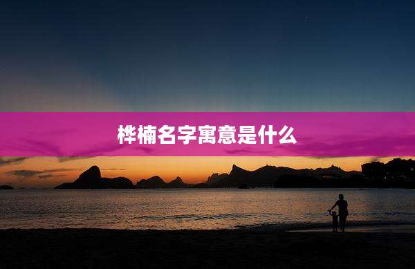 桦楠名字寓意是什么