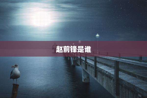 赵前锋是谁