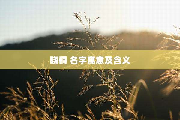 晓桐 名字寓意及含义