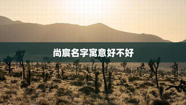 尚宸名字寓意好不好