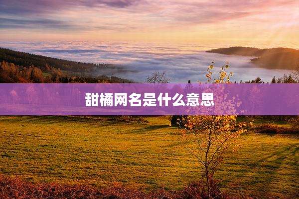 甜橘网名是什么意思