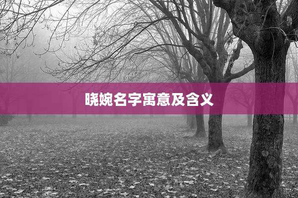 晓婉名字寓意及含义
