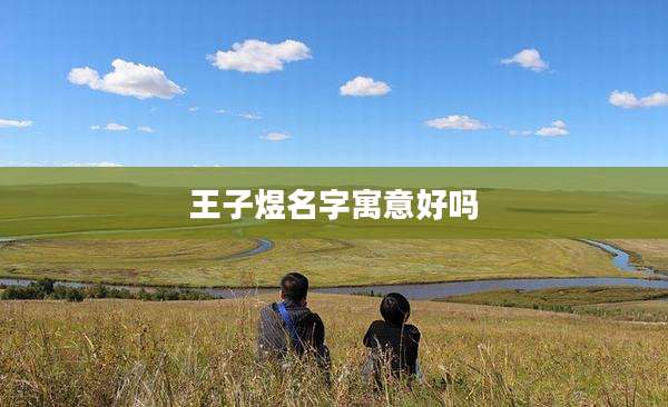 王子煜名字寓意好吗