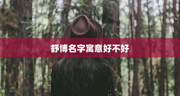 舒博名字寓意好不好
