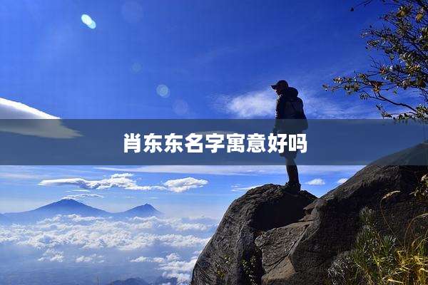 肖东东名字寓意好吗