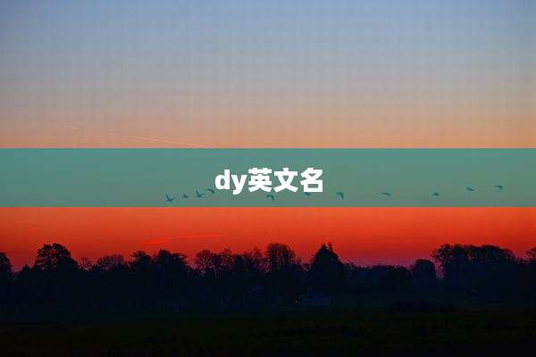 dy英文名